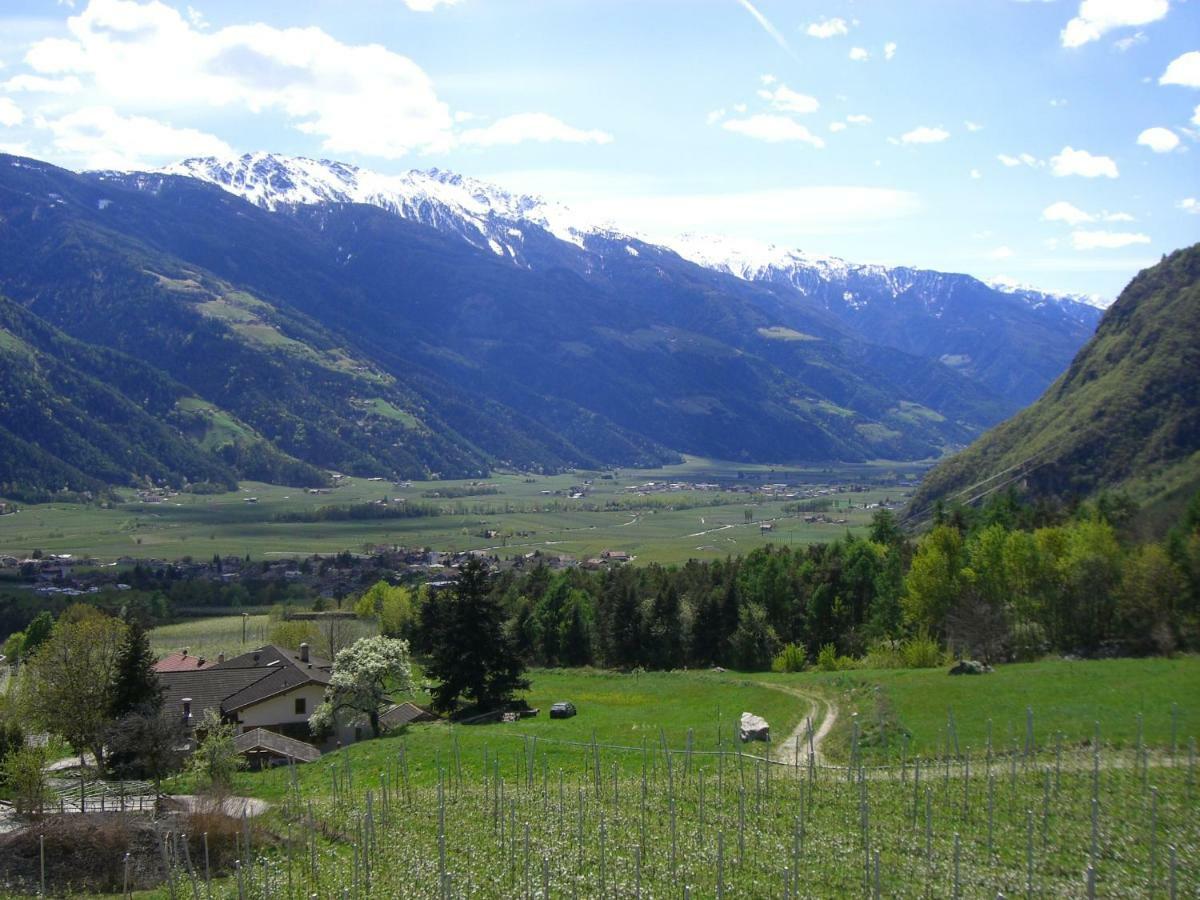 Mareinhof - Urlaub Auf Dem Apfelbauernhof Leilighet Parcines Eksteriør bilde